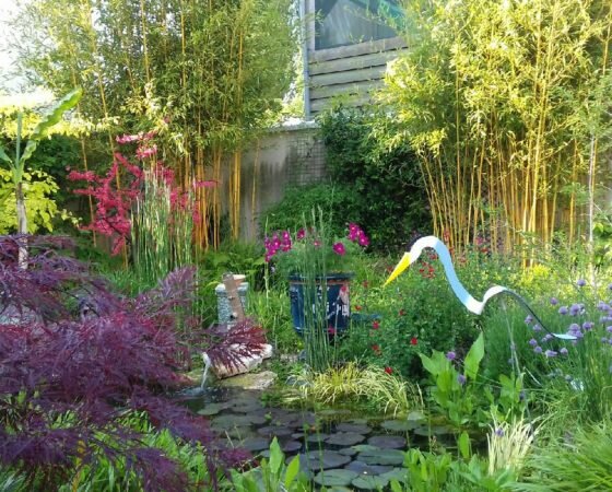 Préparation du jardin en vue du printemps
