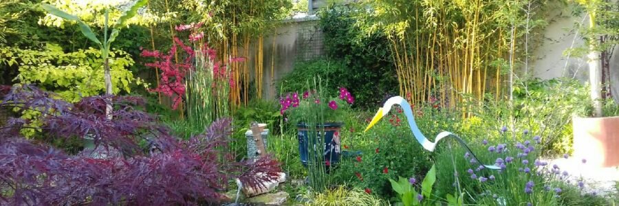 Préparation du jardin en vue du printemps